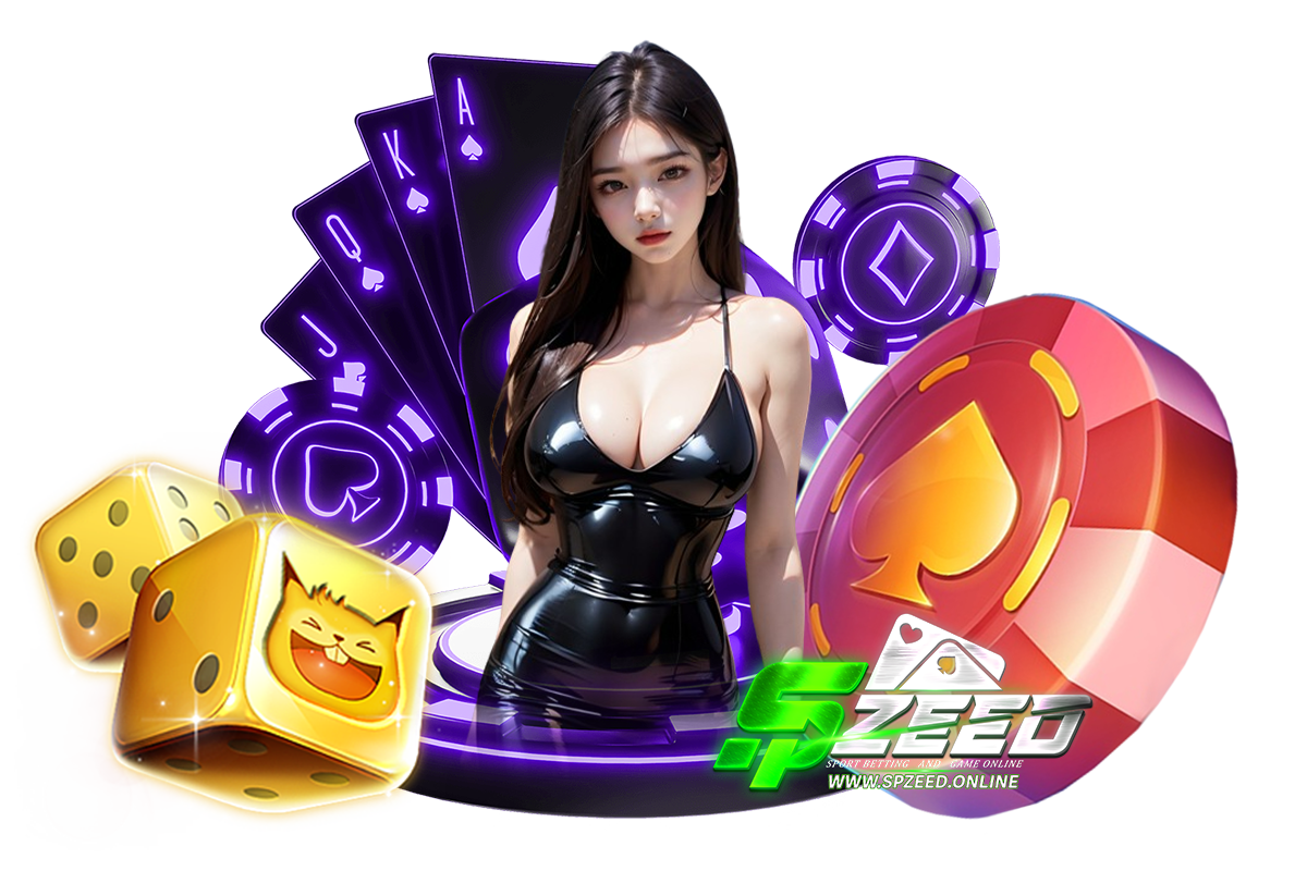 spzeed ทางเข้า